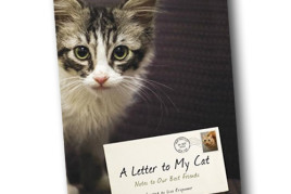 A Letter To My Cat